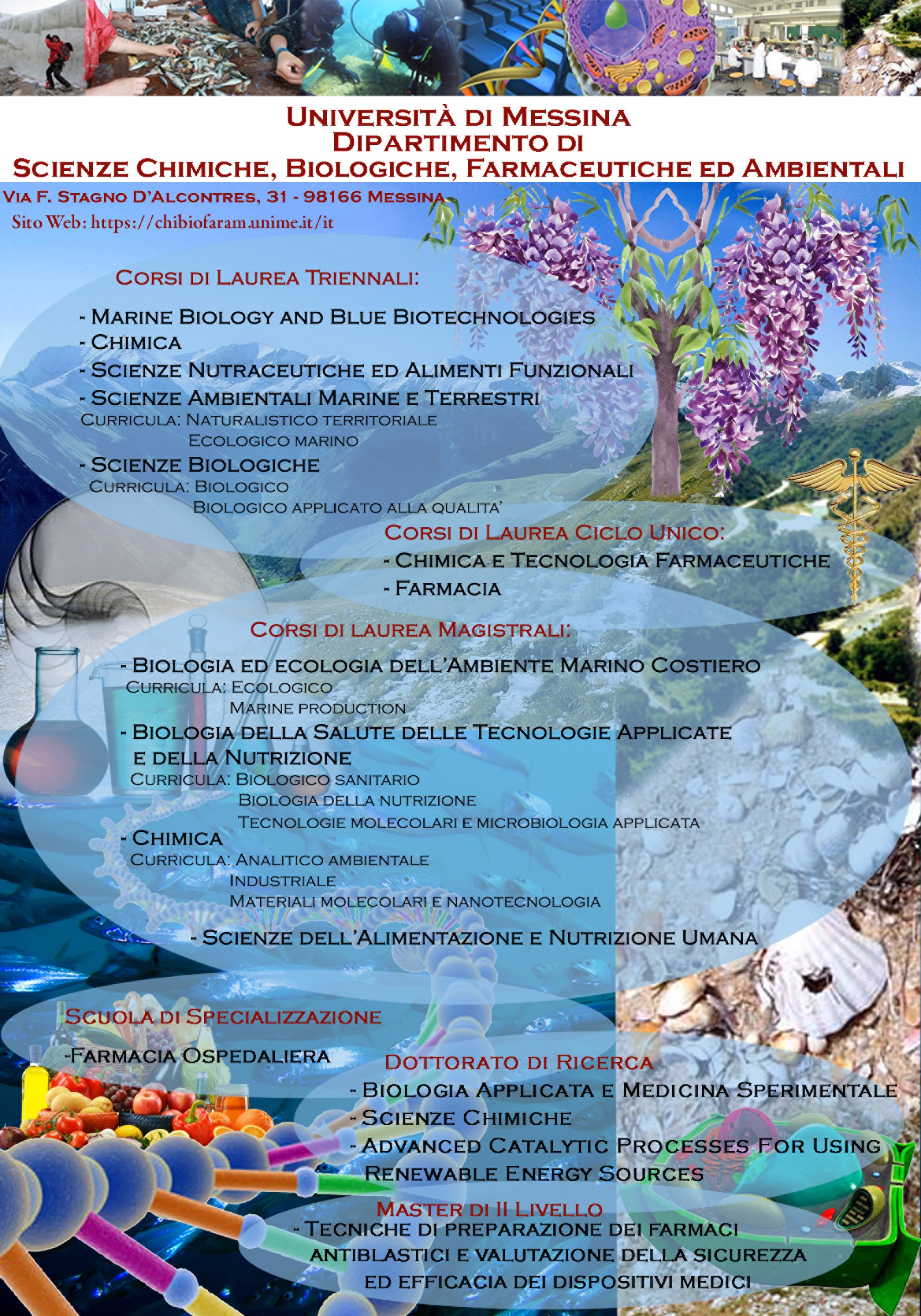 Poster ChiBioFarAm