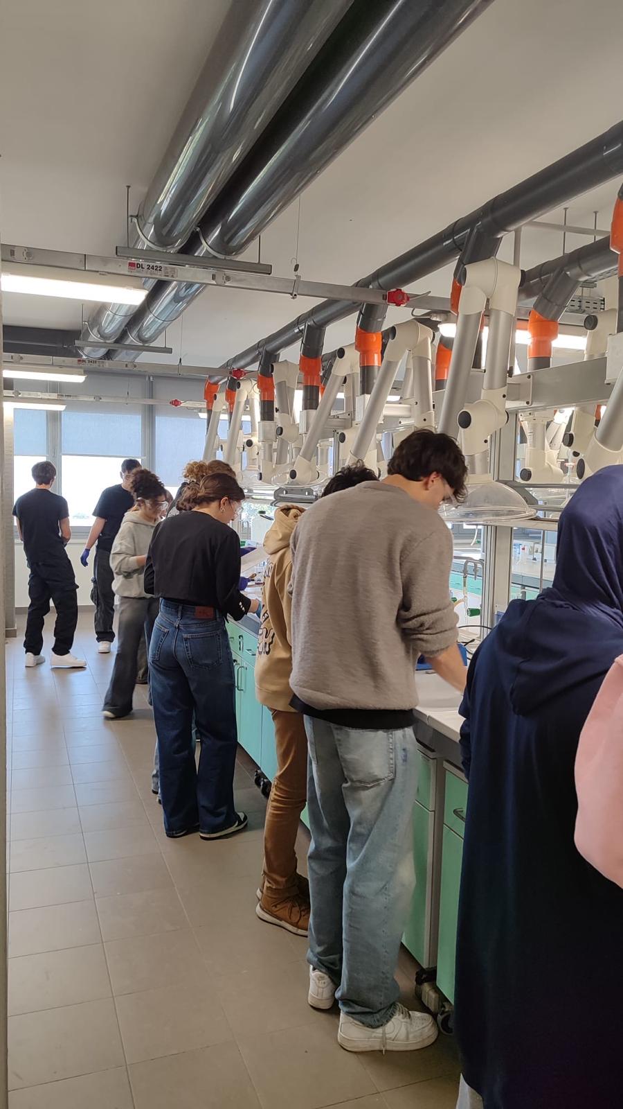 Dalla Scuola alla Ricerca