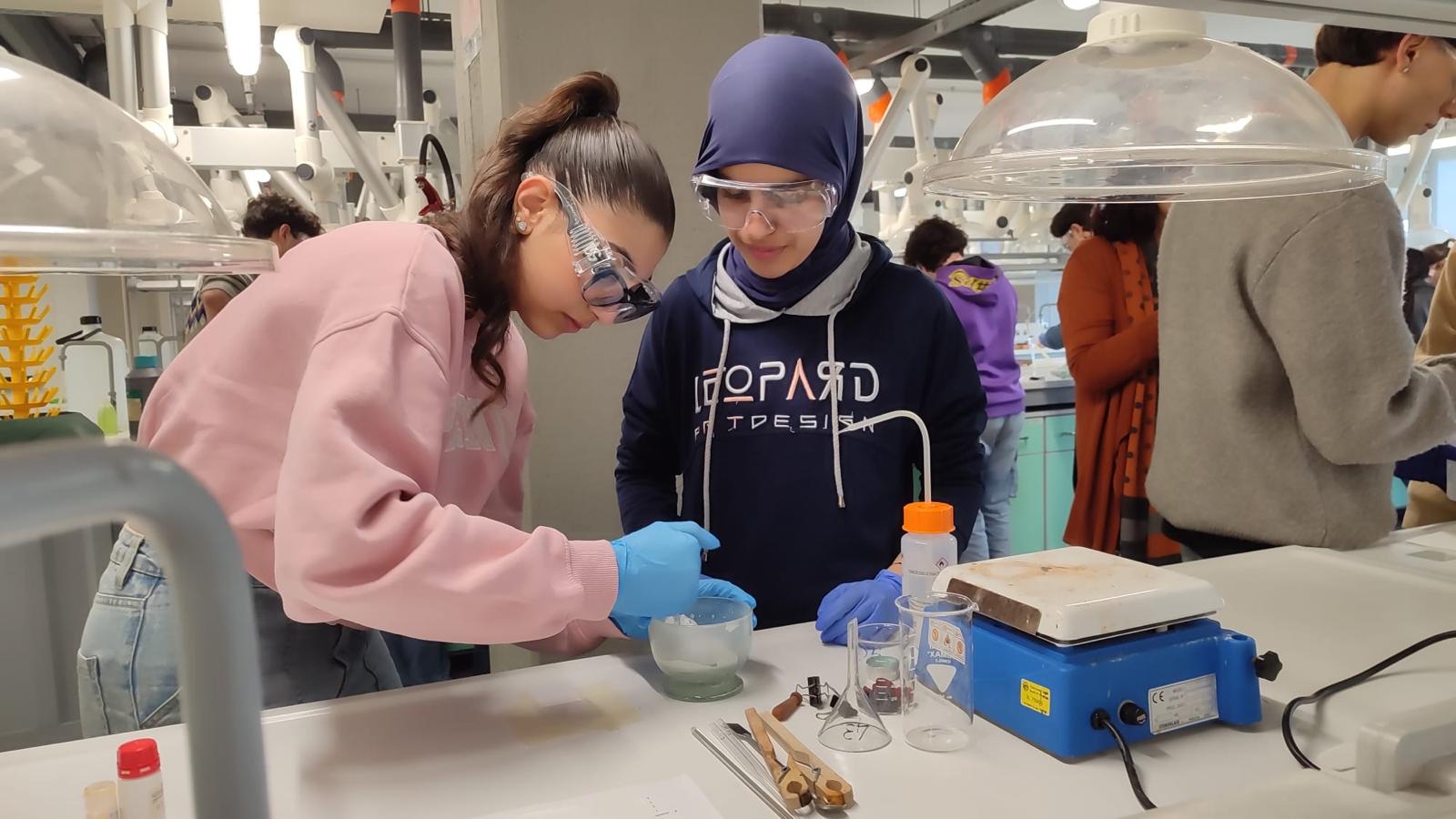 Dalla Scuola alla Ricerca