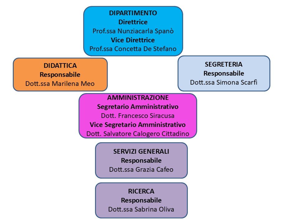 organigramma